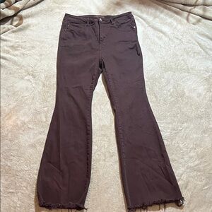 Judy Blue Chocolate Brown Jeans